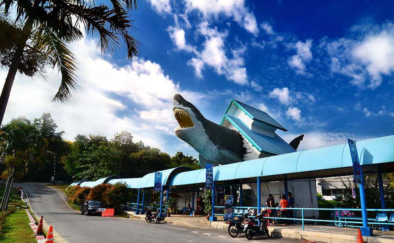chiang-mai-zoo-aquarium-2