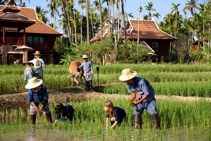 40_Kids_Rice_Planting