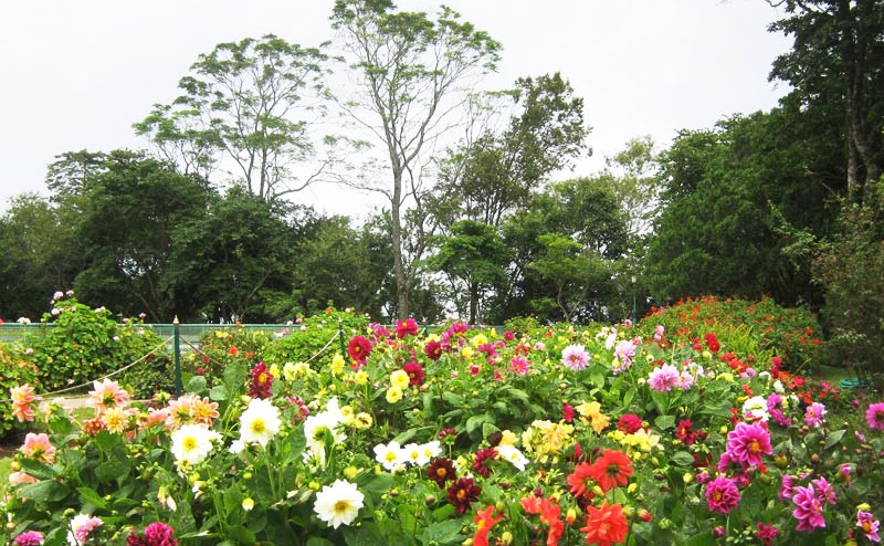 bhubing-palace-chiangmai-1
