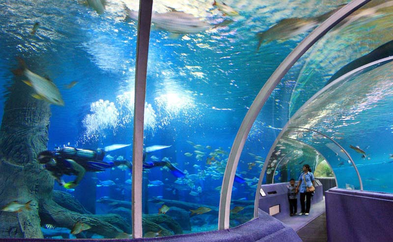 chiangmai-zoo-aquarium-7