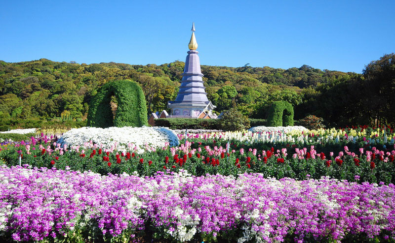 doi-inthanon-national-park-tour-chiangmai-16