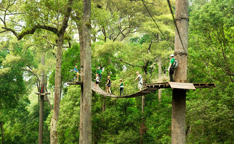 jungle-flight-zipline-chiangmai-14