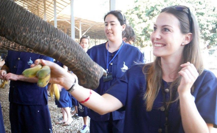 baan-chang-elephant-park-chiangmai-13