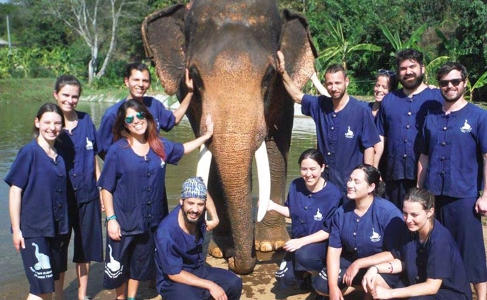 baan-chang-elephant-park-chiangmai-14