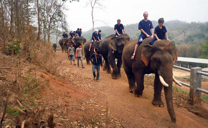 baan-chang-elephant-park-chiangmai-15
