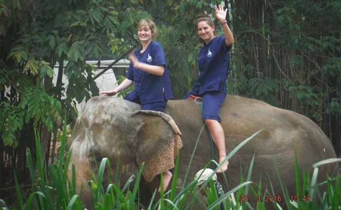 baan-chang-elephant-park-chiangmai-4