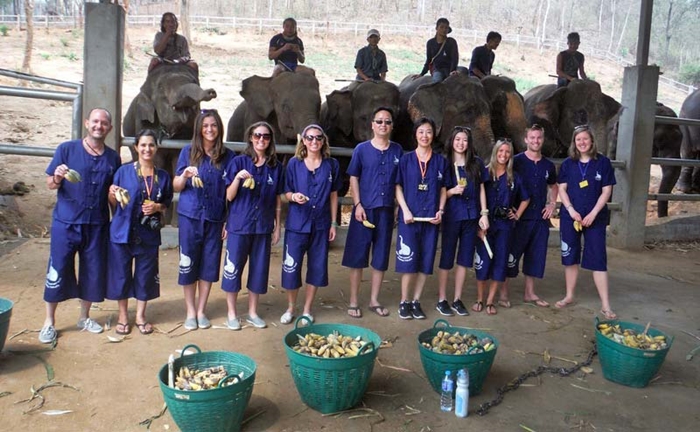 baan-chang-elephant-park-chiangmai-8