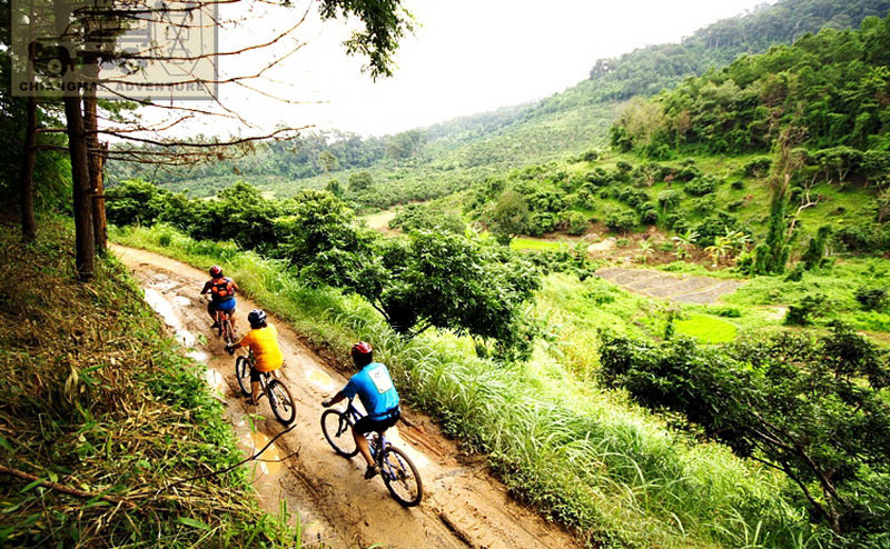 biking-adventure-chiangmai-4
