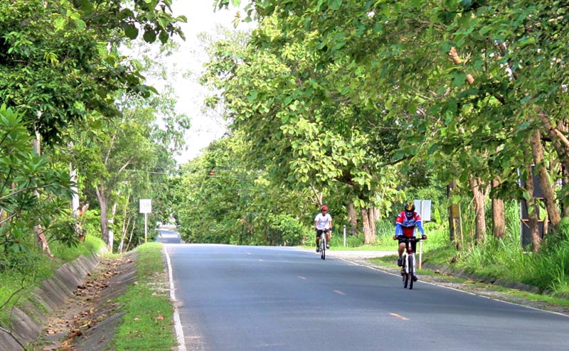 biking-chiangmai-25-1