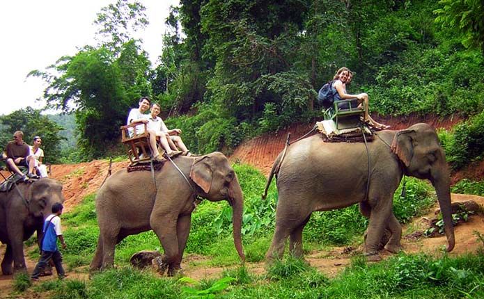 chiang-mai-trekking-adventure-elephant-riding