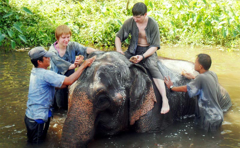elephant-bathing-chiangmai-1