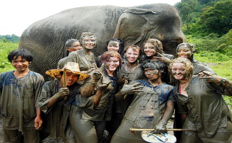 elephant-bathing-chiangmai-2
