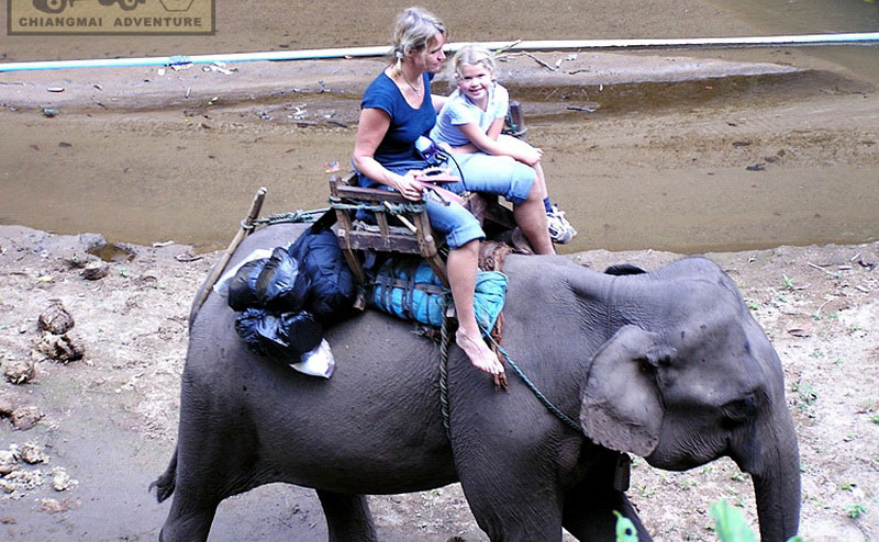 elephant-riding-chiangmai-2