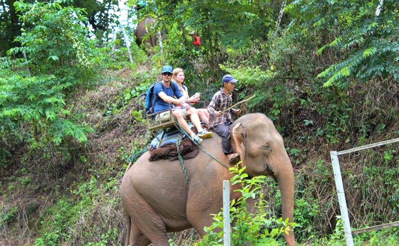 elephant-riding-chiangmai-5