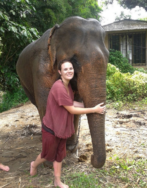 elephant-training-chiangmai-1