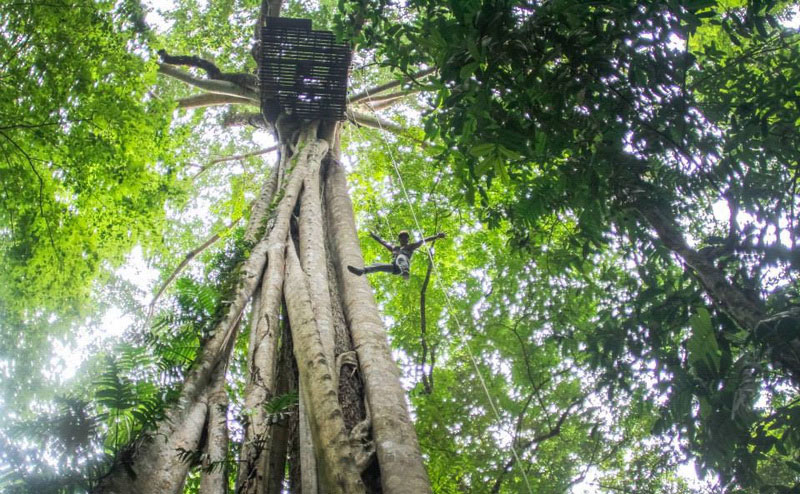 flight-of-the-gibbon-chiangmai-10