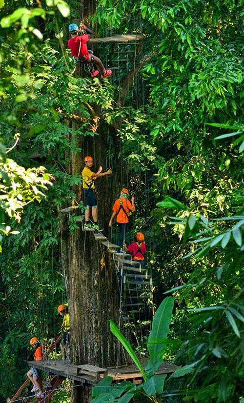 flight-of-the-gibbon-chiangmai-15