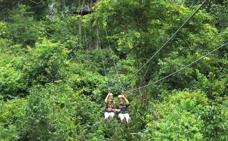 flight-of-the-gibbon-chiangmai-5
