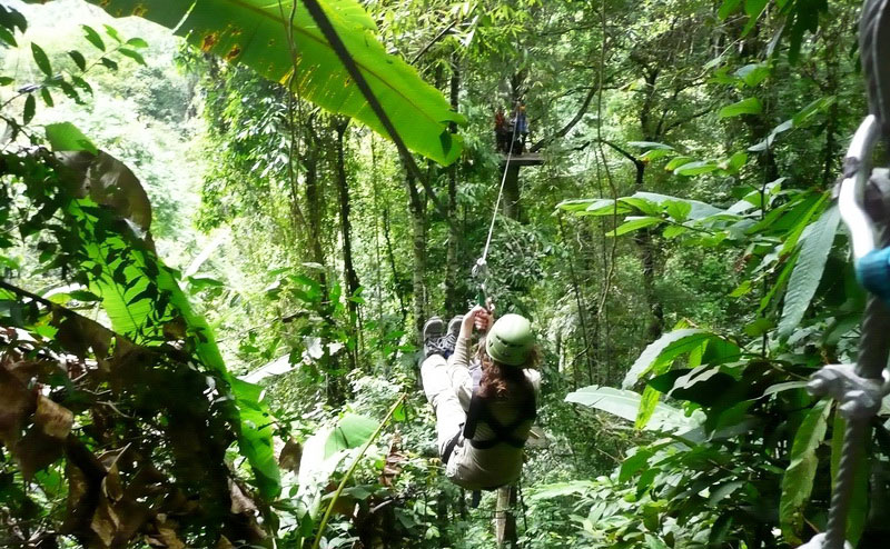 flight-of-the-gibbon-chiangmai-6