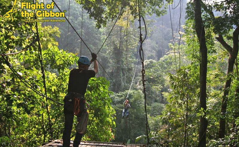 flight-of-the-gibbon-chiangmai-8