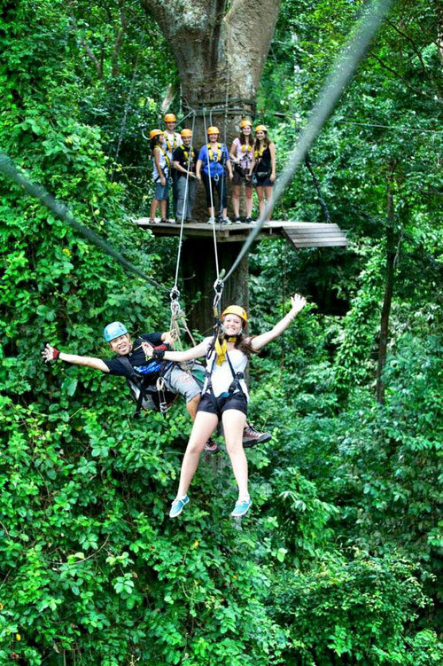 flight-of-the-gibbon-chiangmai-9