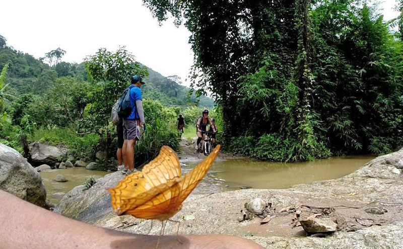 mountain-biking-chiangmai-23