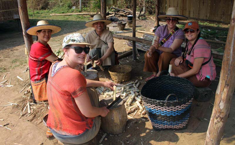 rantong-elephant-camp-chiangmai-1