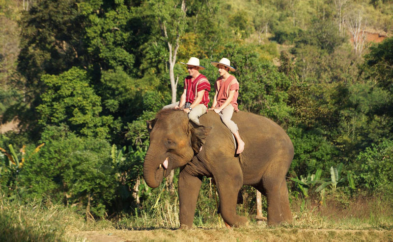rantong-elephant-camp-chiangmai-18