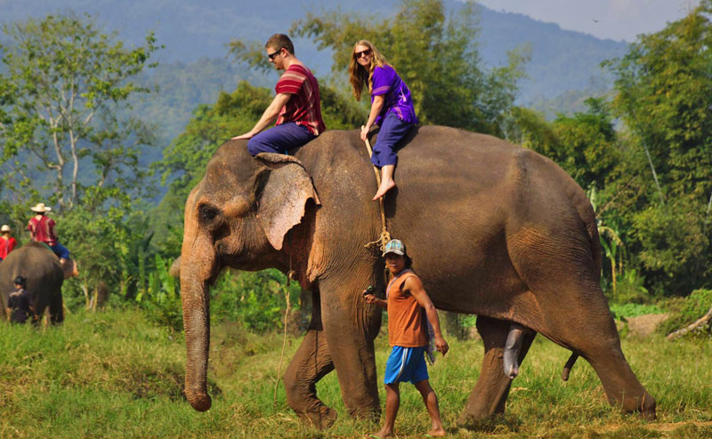 rantong-elephant-camp-chiangmai-19