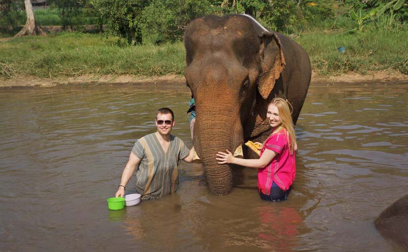 rantong-elephant-camp-chiangmai-3