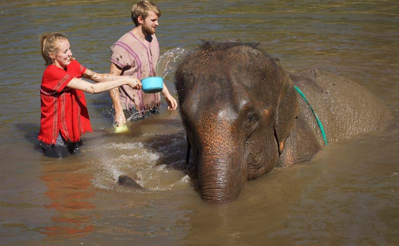 rantong-elephant-camp-chiangmai-5
