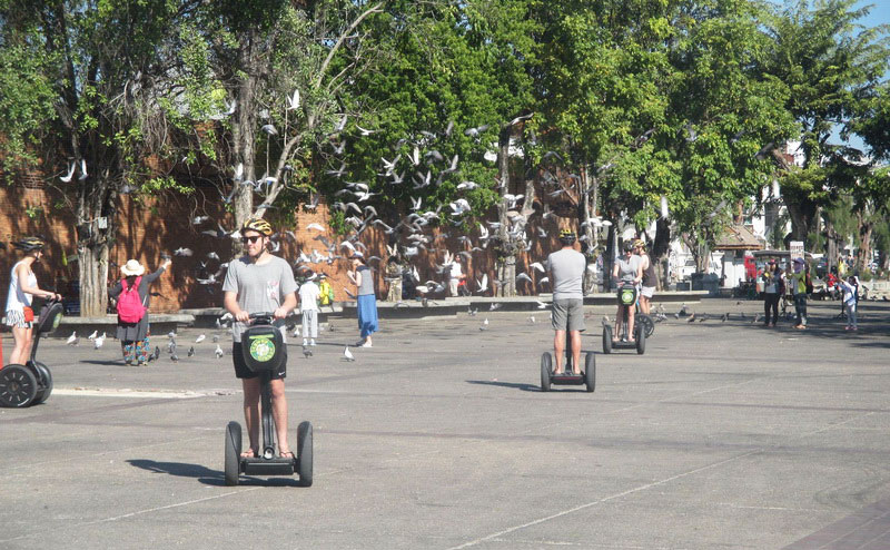 segway-gibbon-chiangmai-1