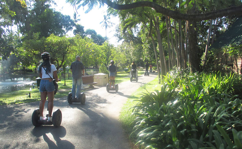 segway-gibbon-chiangmai-20