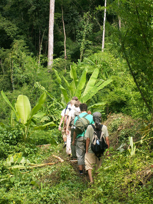 trekking-tour-chiangmai-2