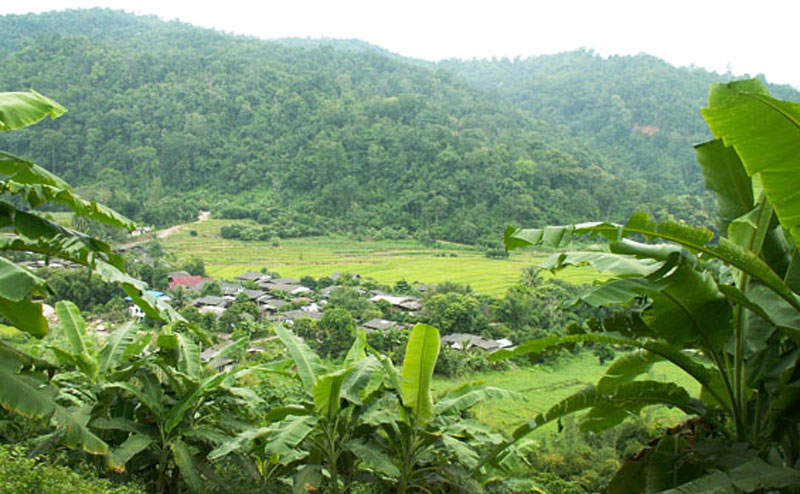 trekking-tour-chiangmai-6