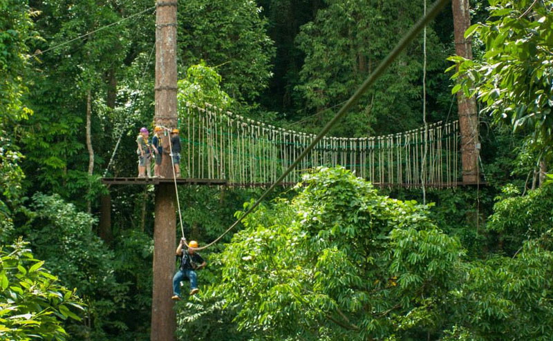 zipline-adventure-chiangmai-5