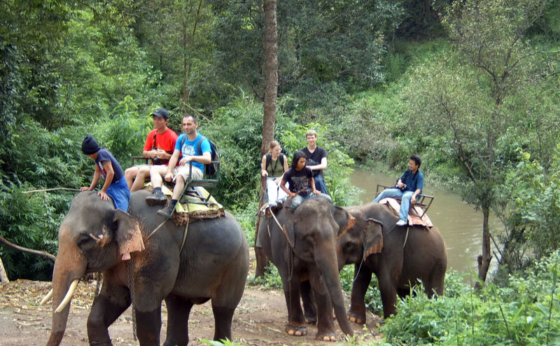 trekking-bamboo-rafting-chiangmai-13-1