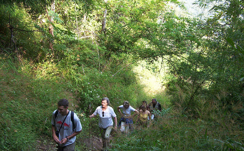 trekking-bamboo-rafting-chiangmai-4-1