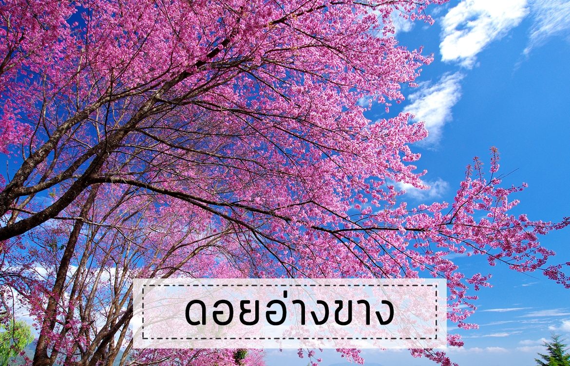cover2