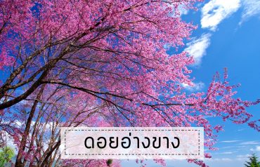 cover2