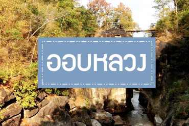 cover2