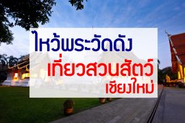 cover65
