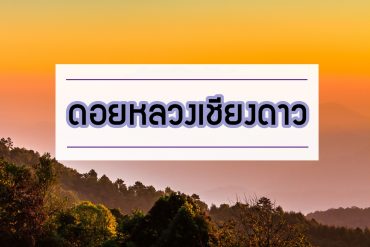doichiangdaowcover