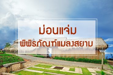 เที่ยวเชียงใหม่ 1 วัน