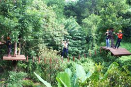phoenix-adventure-park-chiangmai