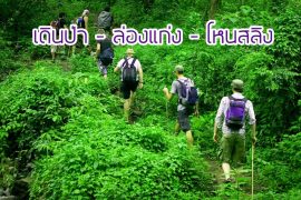 %e0%b9%80%e0%b8%94%e0%b8%b4%e0%b8%99%e0%b8%9b%e0%b9%88%e0%b8%b2-trekking-%e0%b9%80%e0%b8%8a%e0%b8%b5%e0%b8%a2%e0%b8%87%e0%b9%83%e0%b8%ab%e0%b8%a1%e0%b9%88
