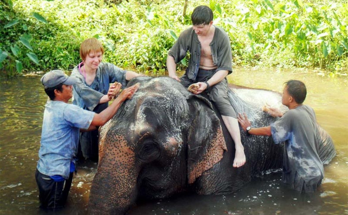 trekking-elephant-bathing-chiangmai-8