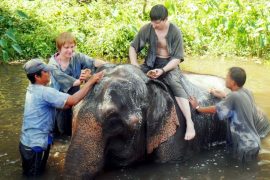 trekking-elephant-bathing-chiangmai-8