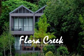 flora-creek