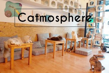 Catmosphere